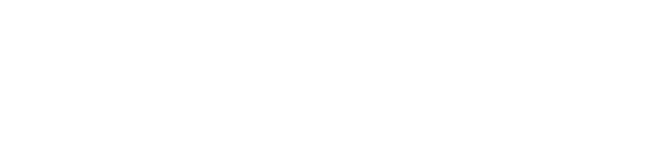 Bayside Animal Hospital