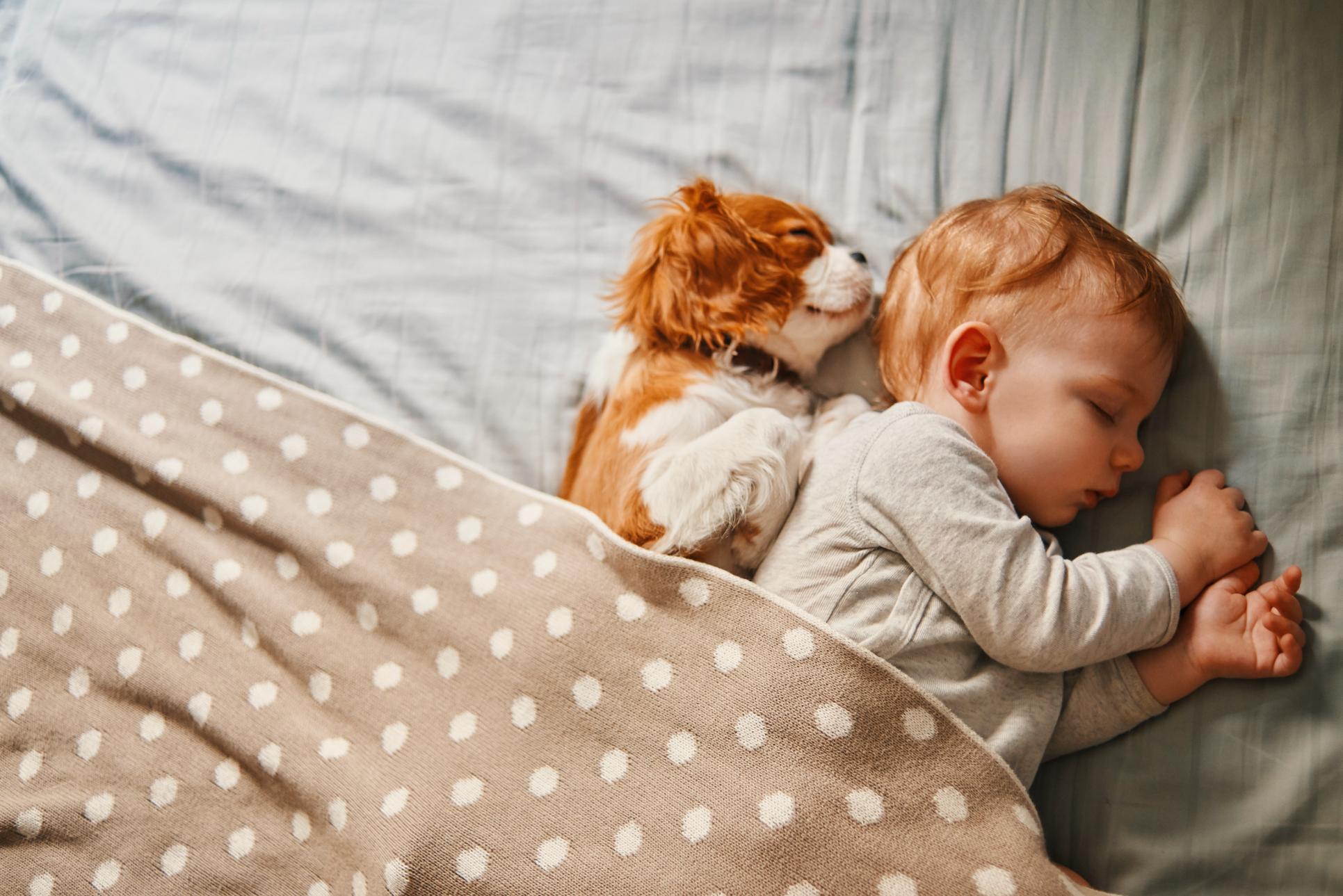 Mindful Pet Parenting: Practicing Patience and Understanding in the New Year