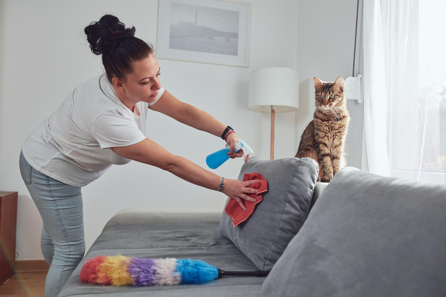 Keeping Your Home Clean With Pets